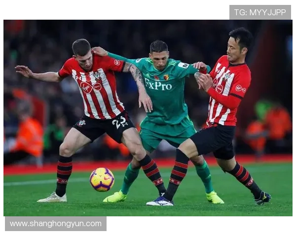 巴恩斯与纽卡斯尔：英超新赛季表现备受期待分析