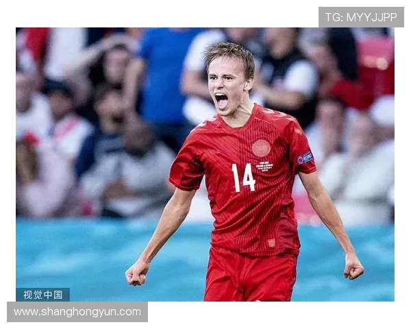 达姆斯高战术适配性