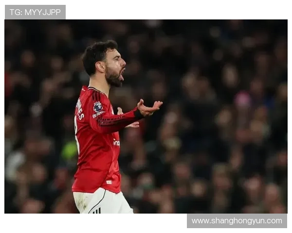 B费争议不断却不可替代的核心原因解析