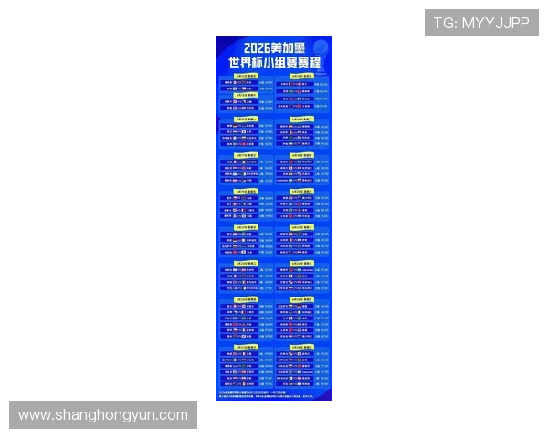 奥地利队冲击2026美加墨世界杯：晋级前景与阵容解析